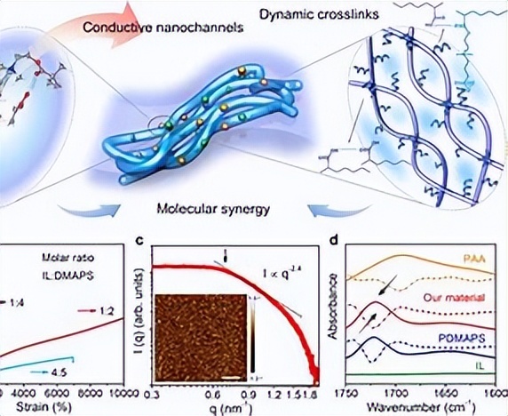 在超冷浴中单离子杂质物理有什么特点？