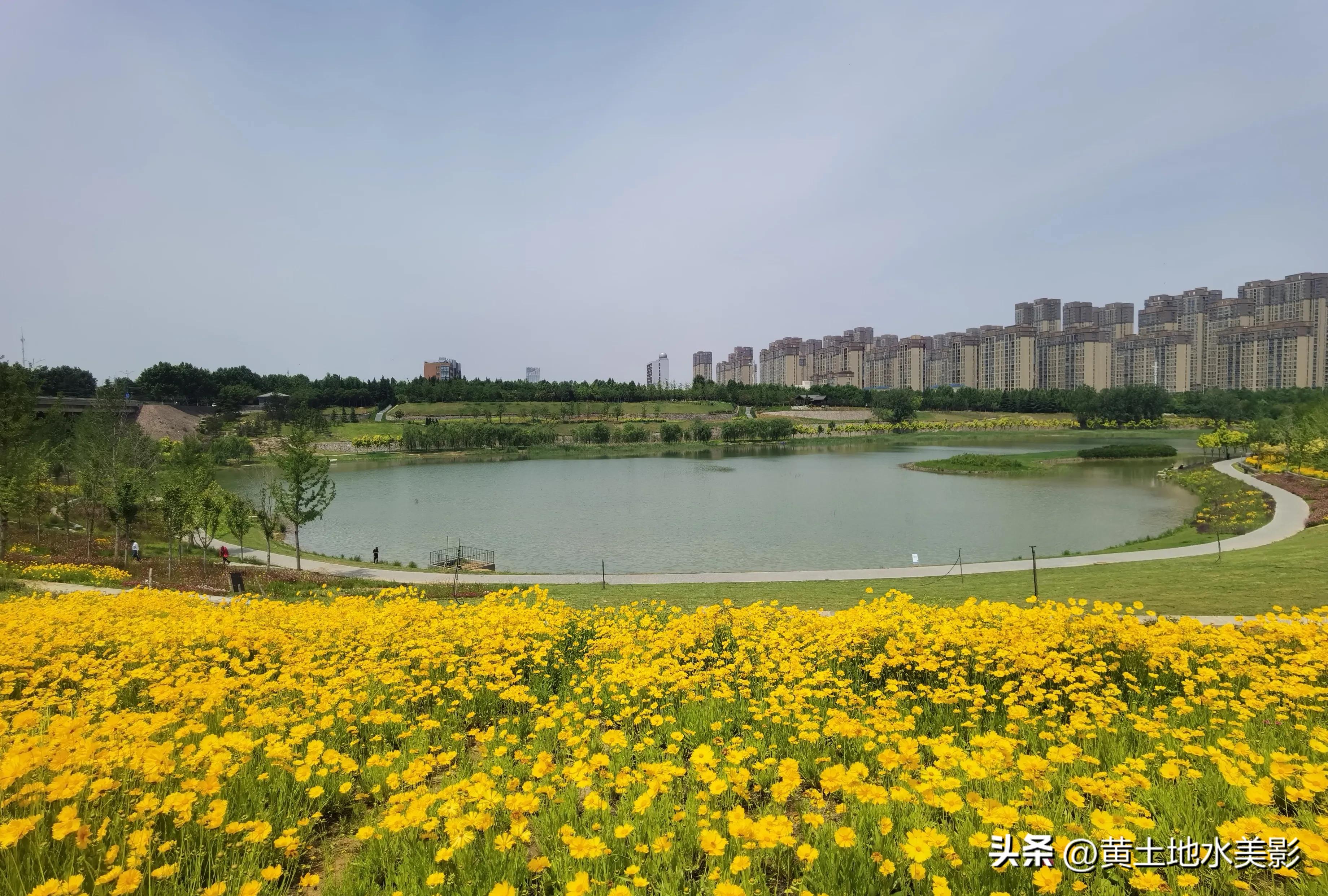 郑州象湖生态公园免费景点推荐,绿湖湿地公园河南