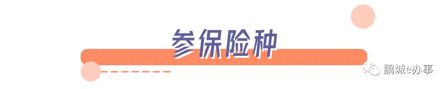 非深户也可以！个人在深圳缴纳社保指南来啦！网上轻松申请！