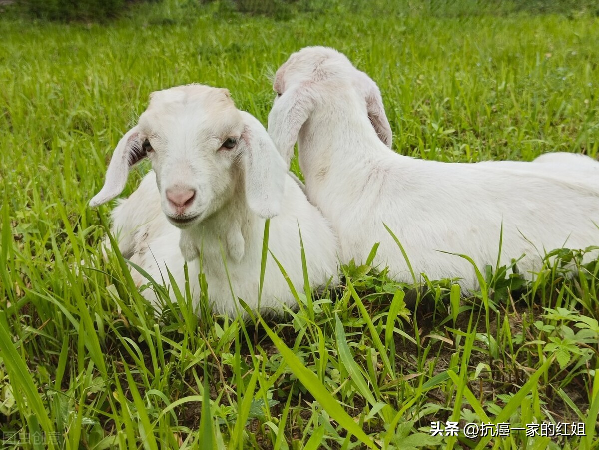 40岁女人的心理问题,大龄女青年心理问题