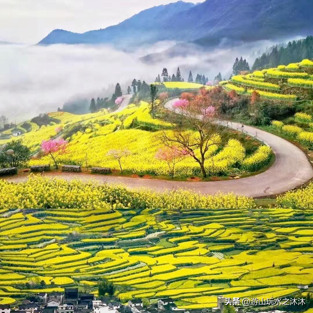 看油菜花的好地旅游攻略,看油菜花哪里最值得去