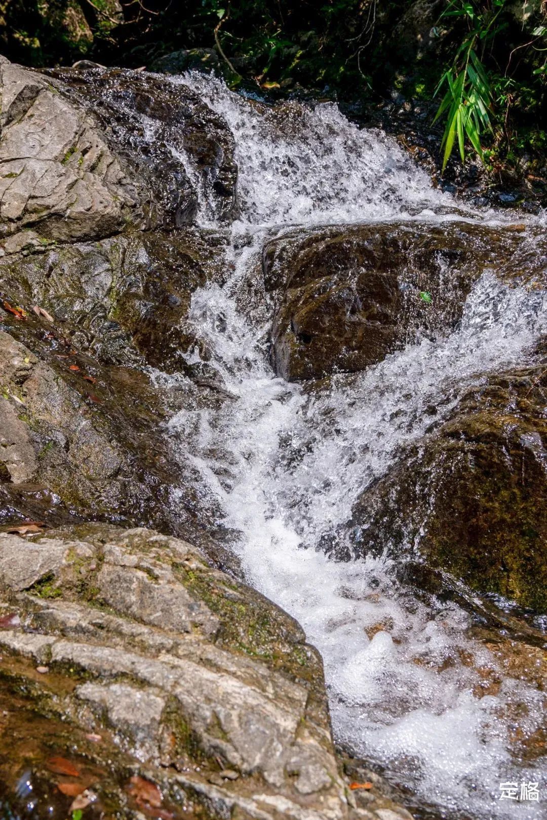 深圳10个小众打卡地,深圳十大免费打卡地