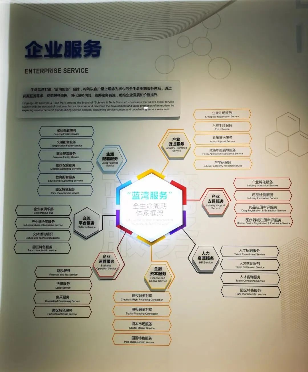 奉贤海湾镇的发展,奉贤海湾镇最新发展