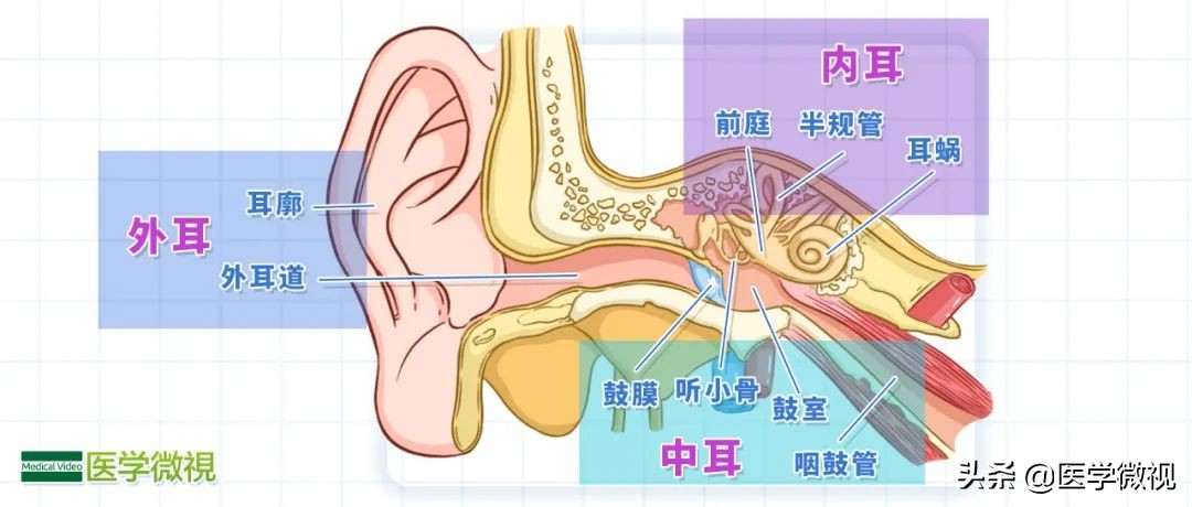 脑袋嗡嗡响耳朵有点聋,耳朵嗡嗡响的预兆