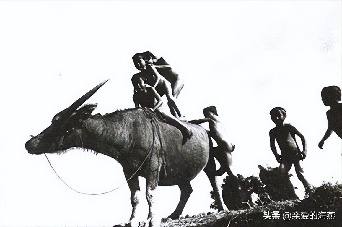 四十年前68张老照片,四十年前老照片大全