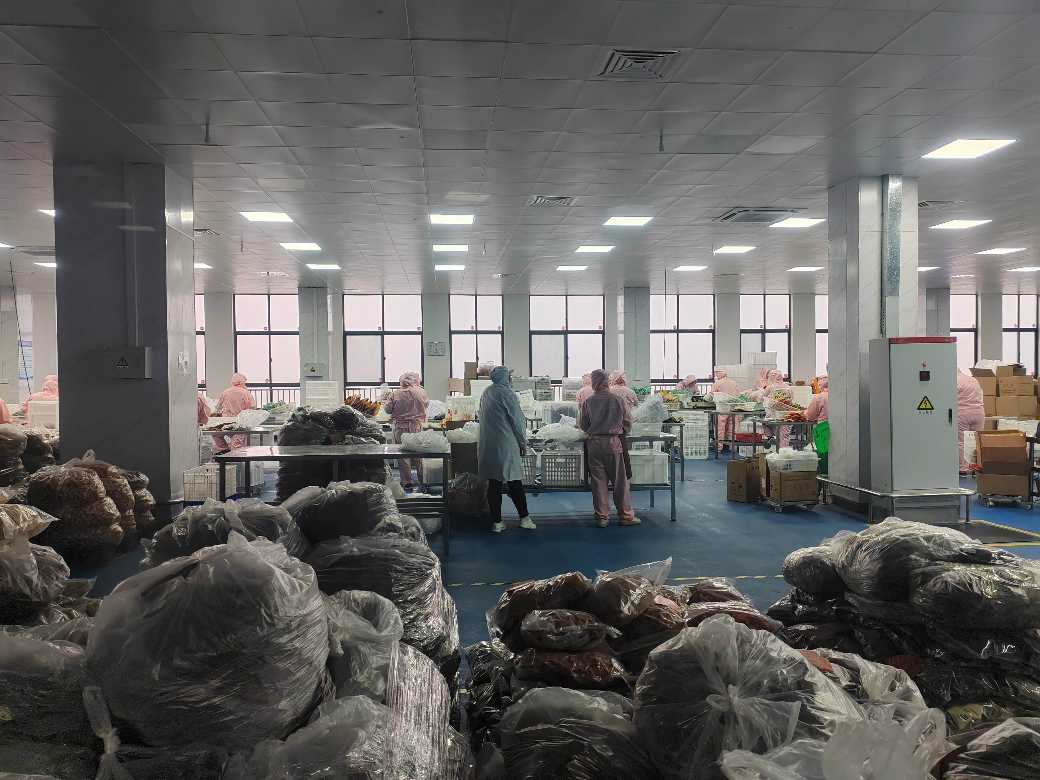 郓城黄集乡村振兴,山东郓城招商