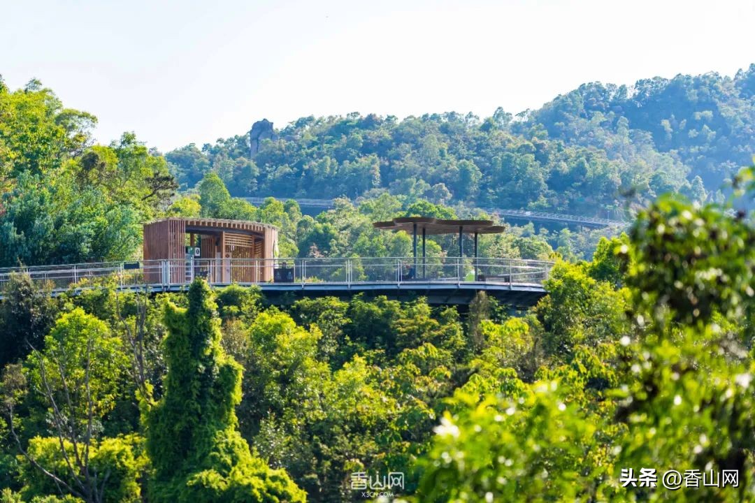 港珠澳大桥澳门珠海,港珠澳大桥珠海怎么过去澳门