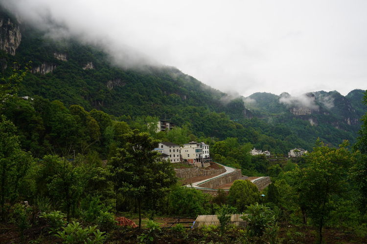 三峡人家原创诗词,三峡人家源头