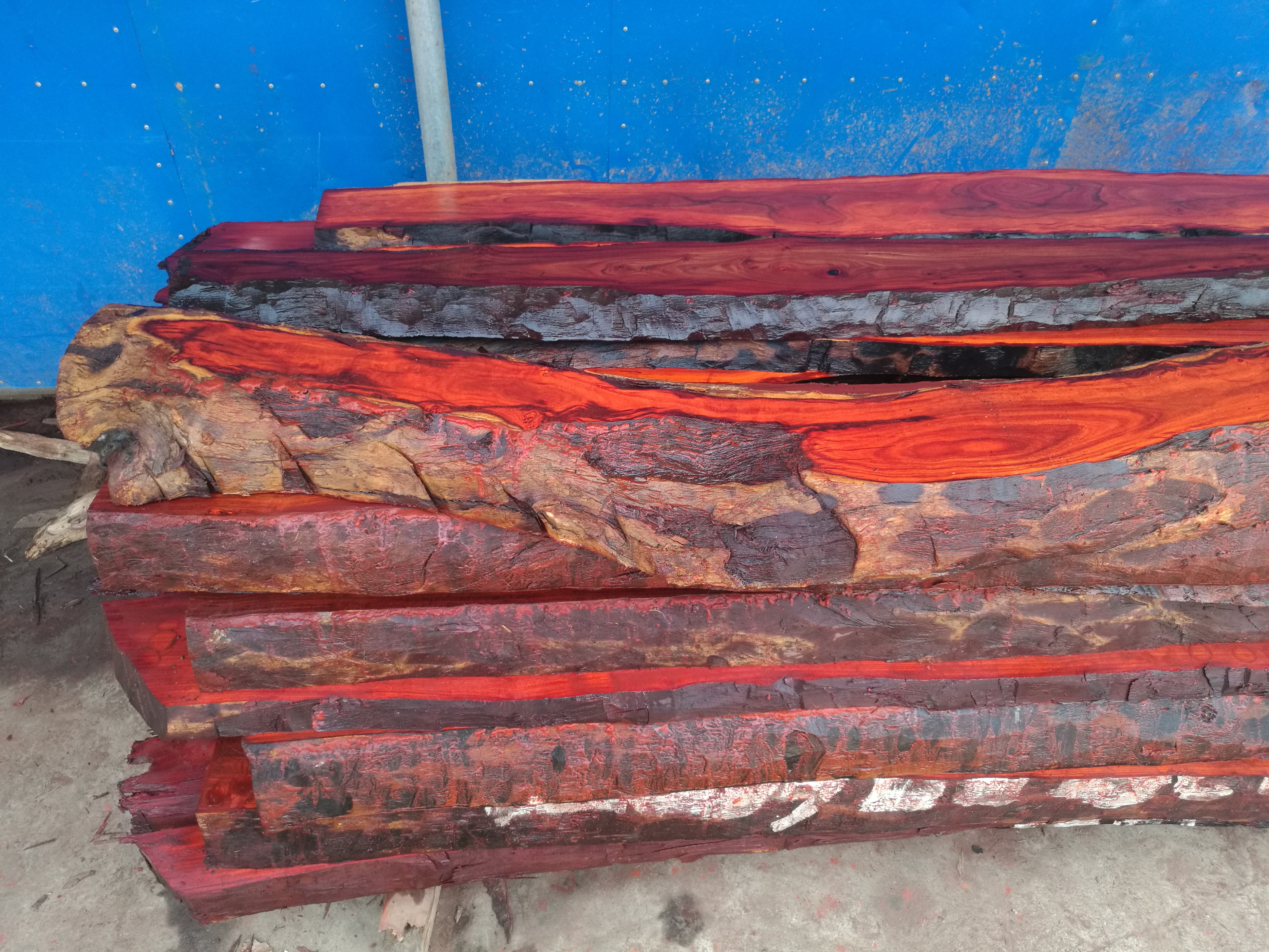 印度小叶紫檀与非洲小叶紫檀的区别