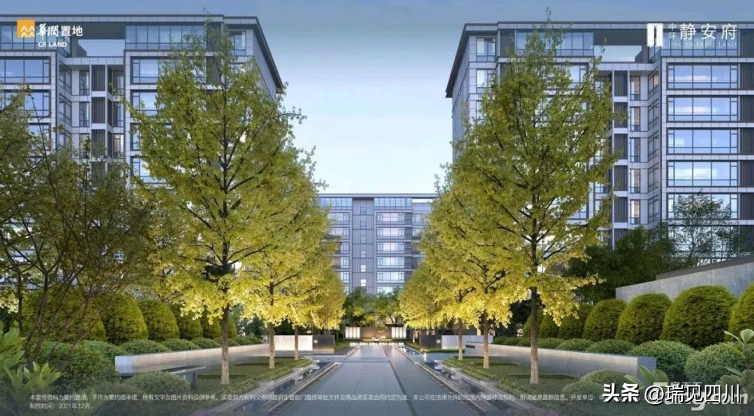 今年成都市场这些产品很能打！