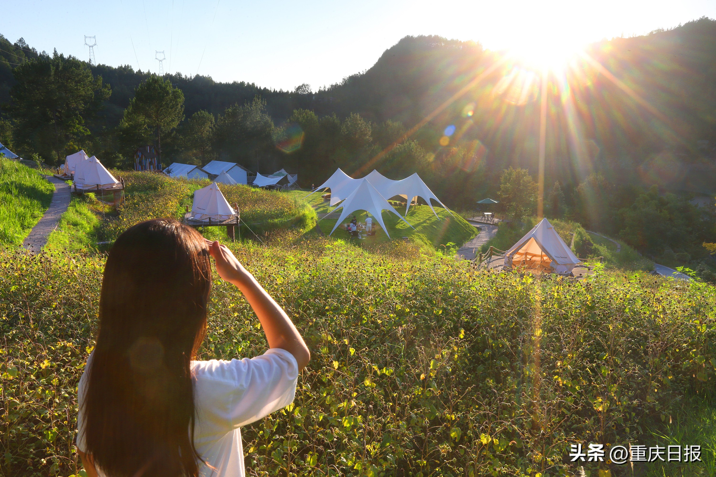 重走故地看新颜的感受,重坊镇最新新闻