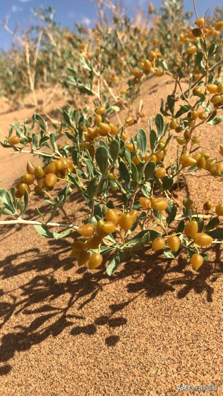 一块小小的石头也能让你这么开心 (一块小小的石头怎么敢这么滑)