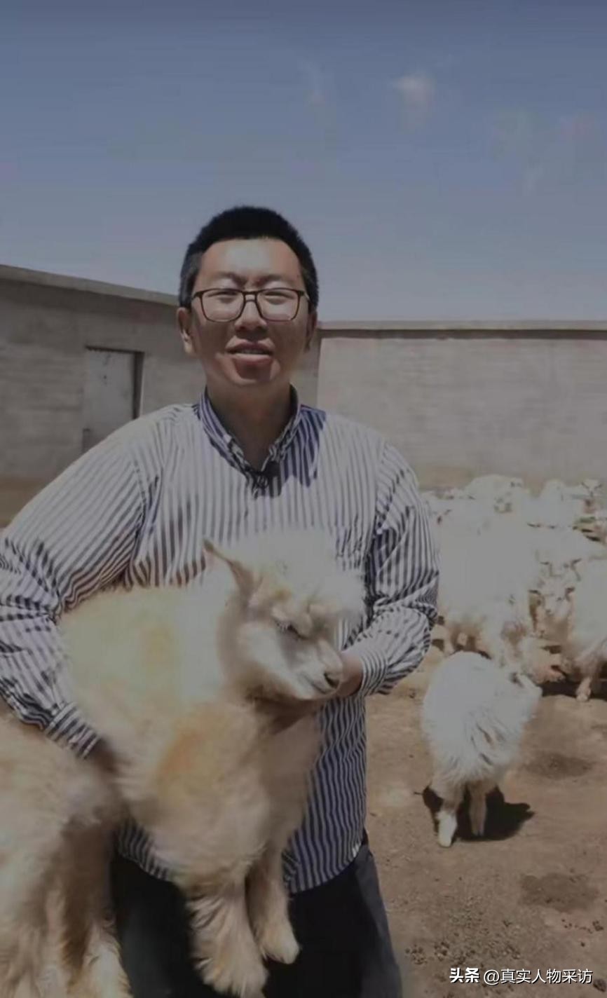 90后回家创业养羊卖羊肉,农村小伙为了创业养羊下血本买羊