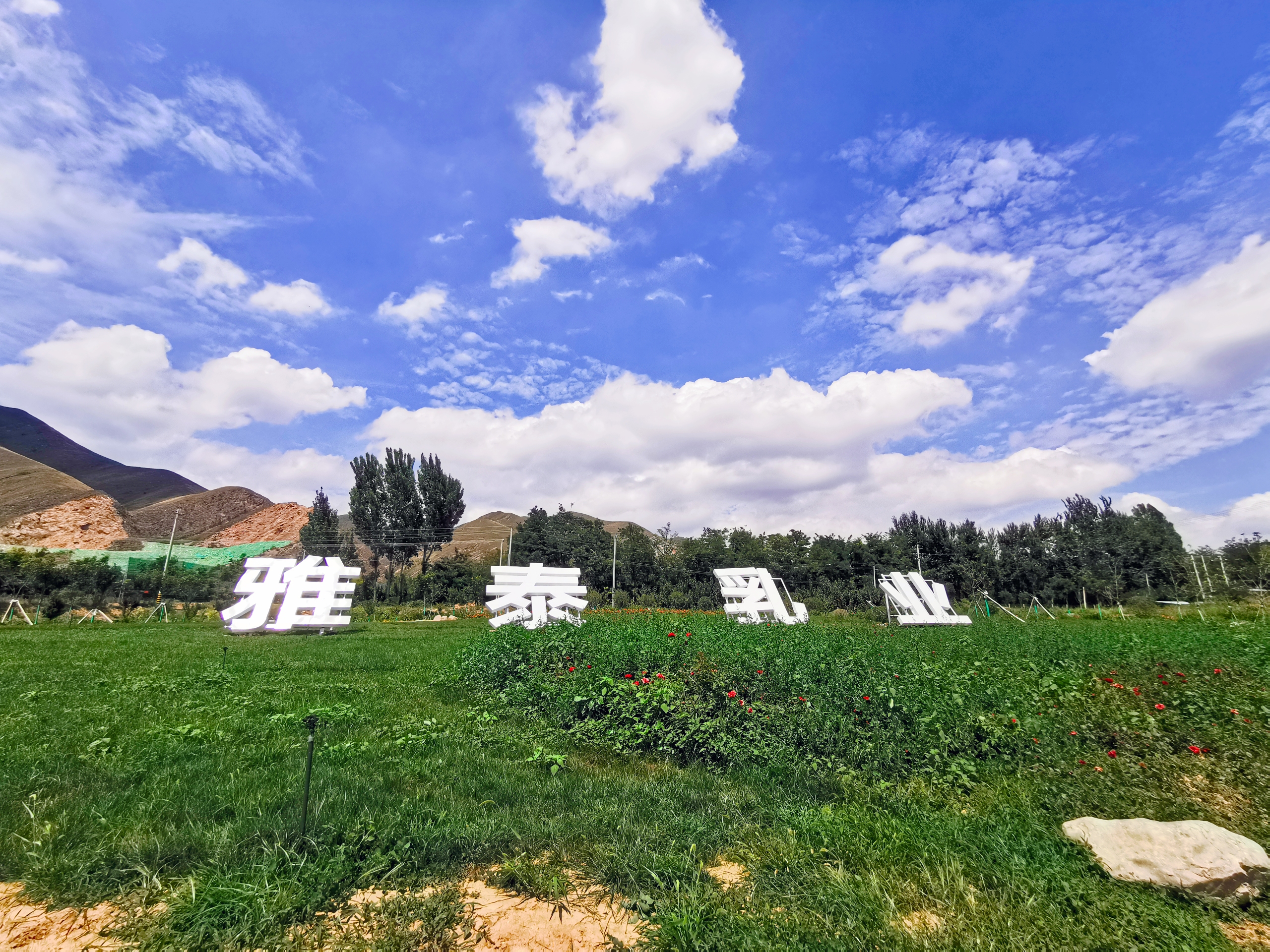 雅泰恩朵羊奶粉好不好,雅泰朵恩羊奶粉如何分辨真假