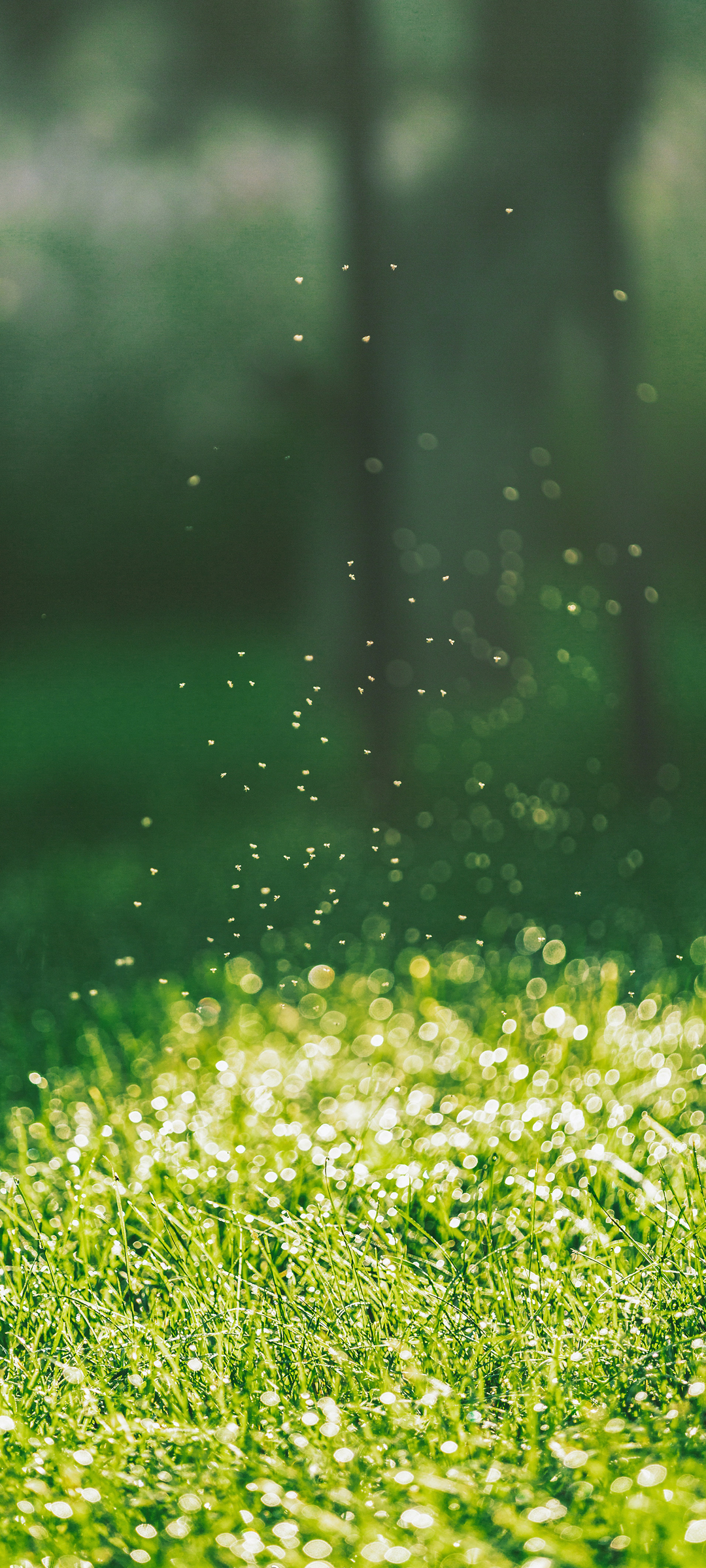 2022好看的手机风景壁纸,2022年男鸿运当头手机壁纸