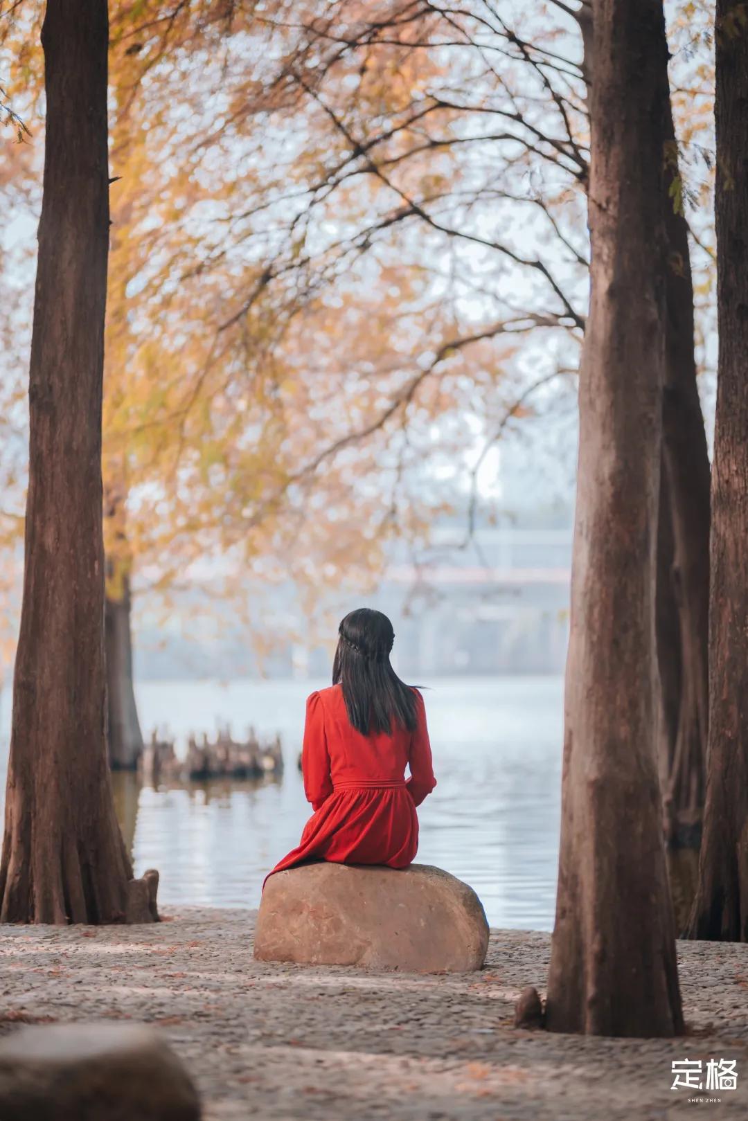 娲箹鍏洯娣卞湷,娲箹鍏洯鑽疯姳