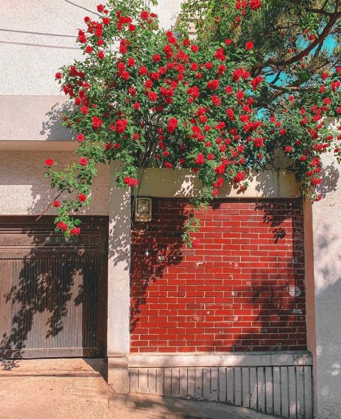 女人对初恋的感情有多深,为什么女人对初恋感情那么深