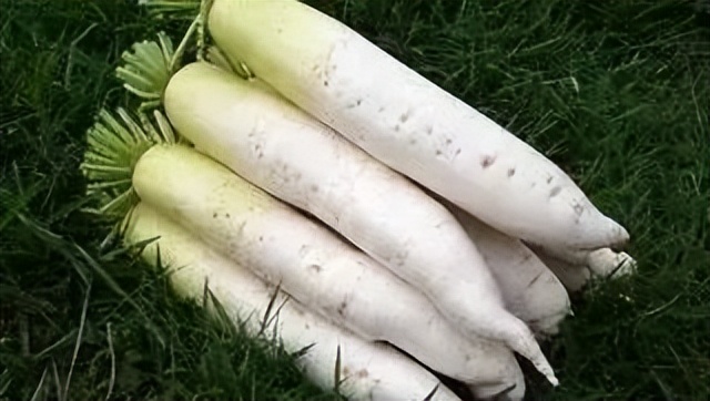 农产品品牌展播,中国品牌展开幕