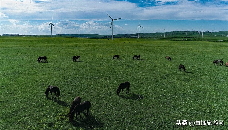 诗与远方内蒙古,诗与远方途乐