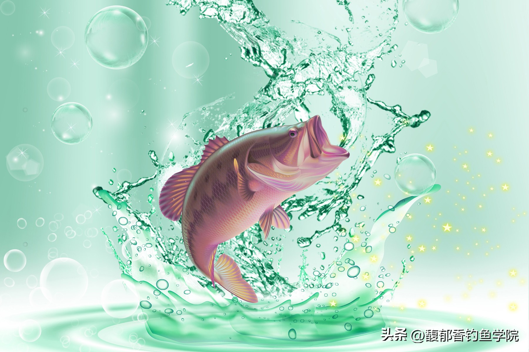 钓鱼用什么样的氨基酸好,氨基酸适合冬天钓鱼吗