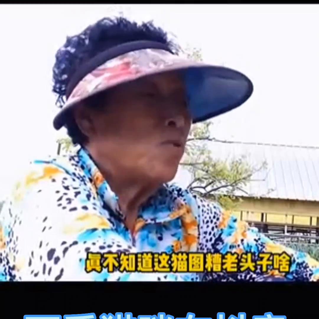 盘点猫科动物的迷惑行为,盘点猫动物的迷惑行为