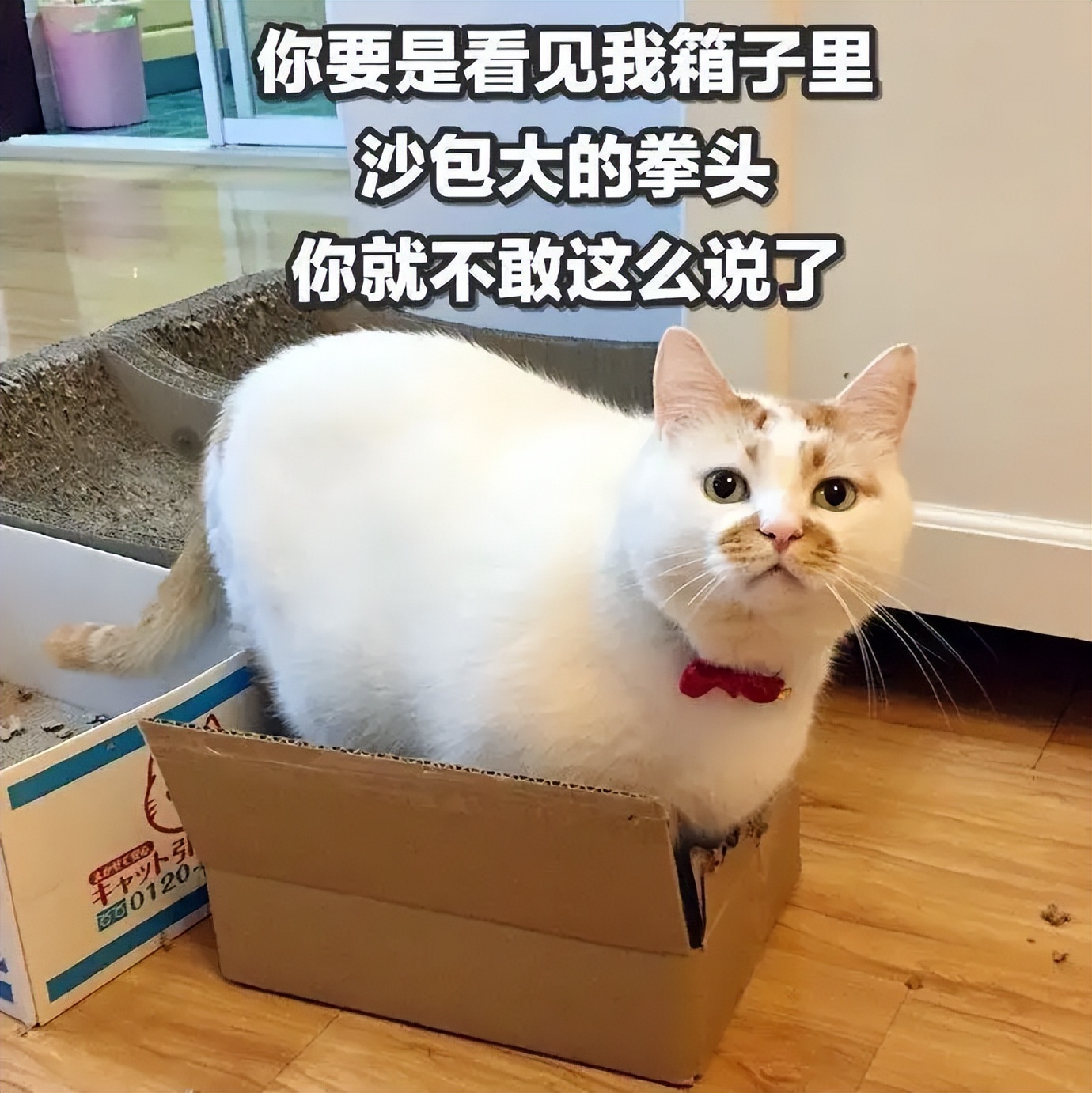 双11都满满套路,双11日常生活