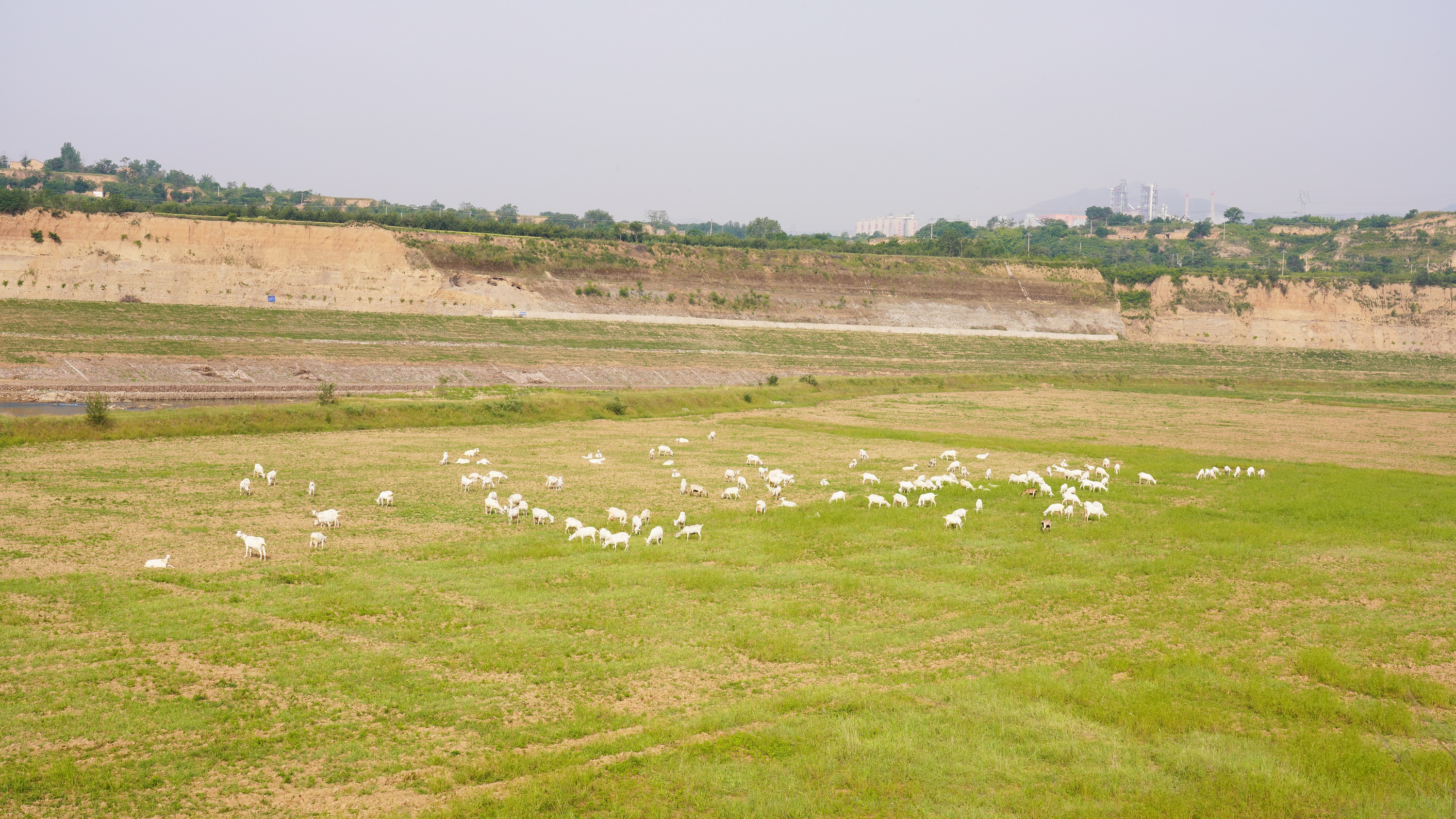 陕西雅泰乳业有限公司在哪里,陕西雅泰乳业有限公司联系电话