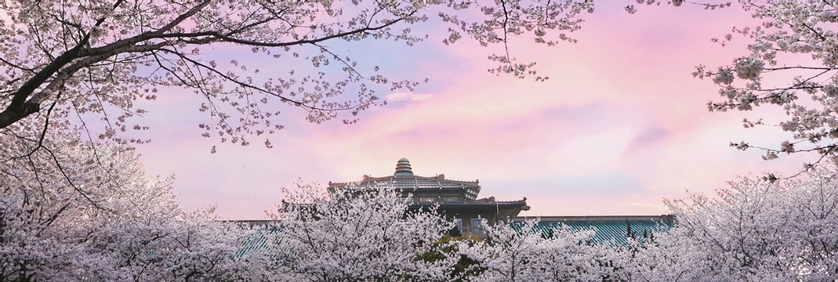 湖北“超美”大学：占地5195亩，宿舍6部电梯，坐拥26栋*物文**建筑和1000株樱花！