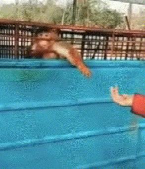 鍖绘姢浜哄憳鑱屼笟鏆撮湶鎰熸兂,鍖绘姢浜哄憳鑱屼笟鏆撮湶鏁堟灉璇勪环