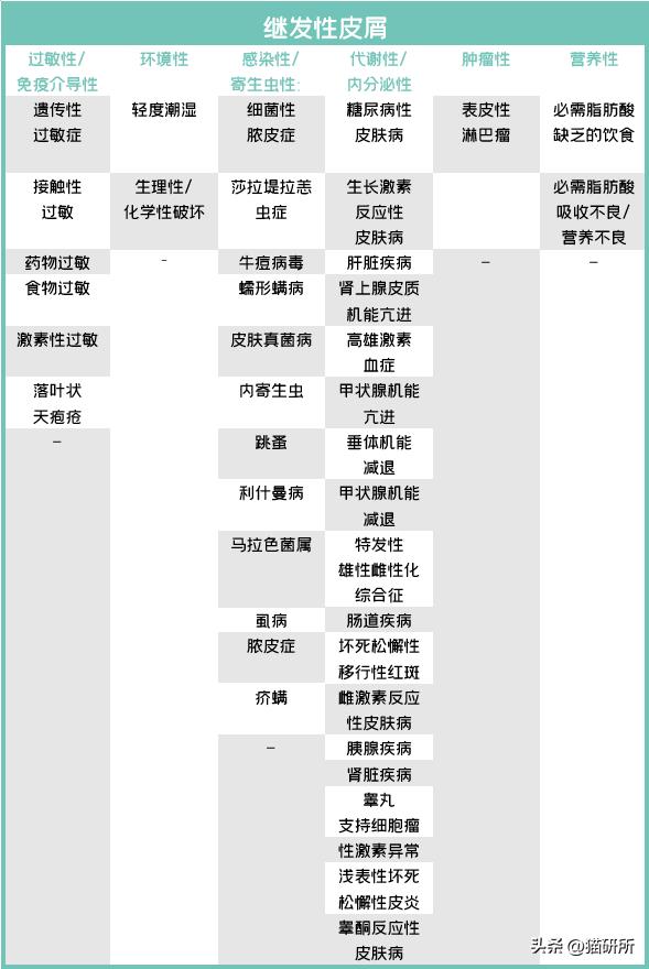 猫咪有皮屑是怎么回事,猫咪有轻微皮屑怎么回事