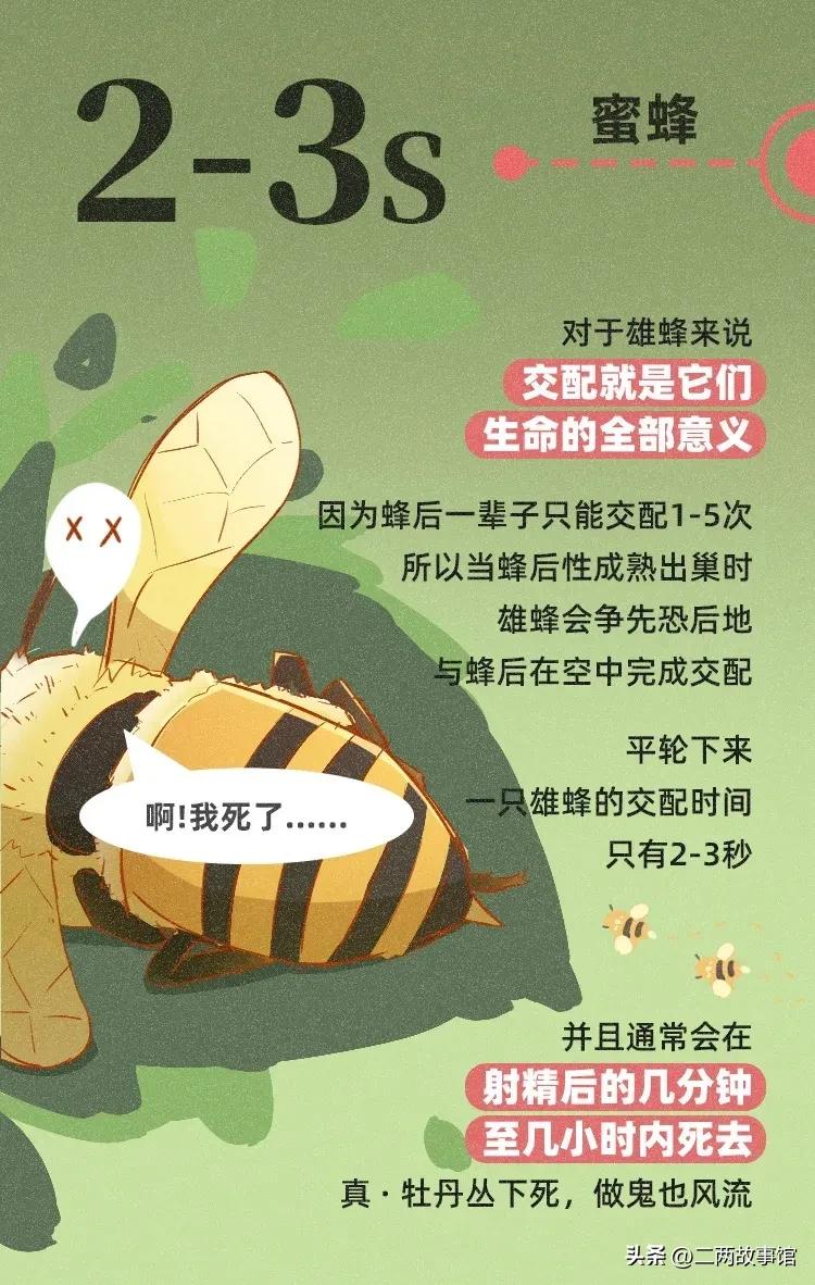 漫画：动物界交配时间轴