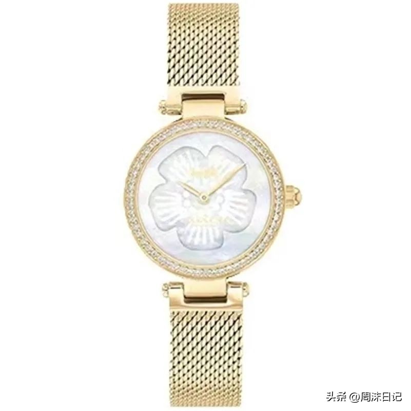 coach蔻驰手表属于什么档次,coach男表时髦运动