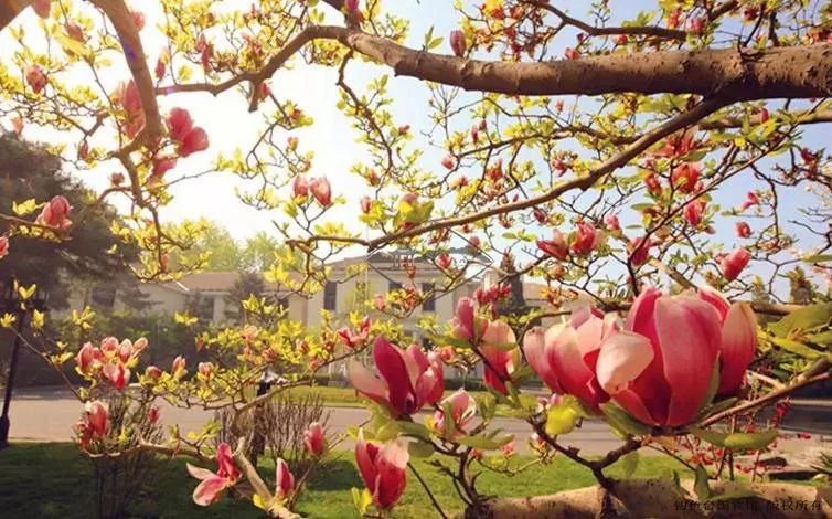 99%的人没看过的老照片,中国三大国宾馆