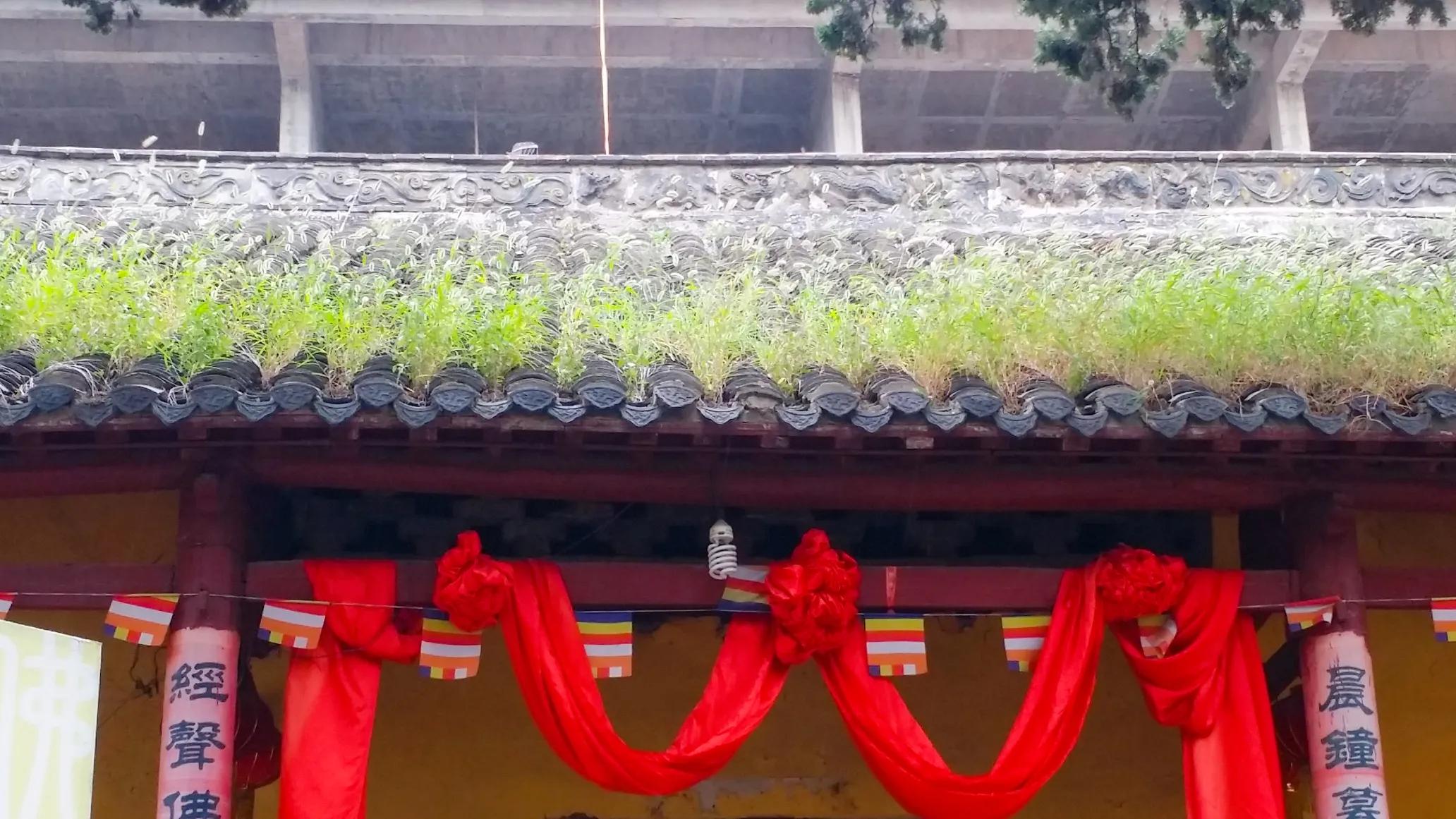 萧县周边一日游攻略,萧县周边旅游景点推荐一日游