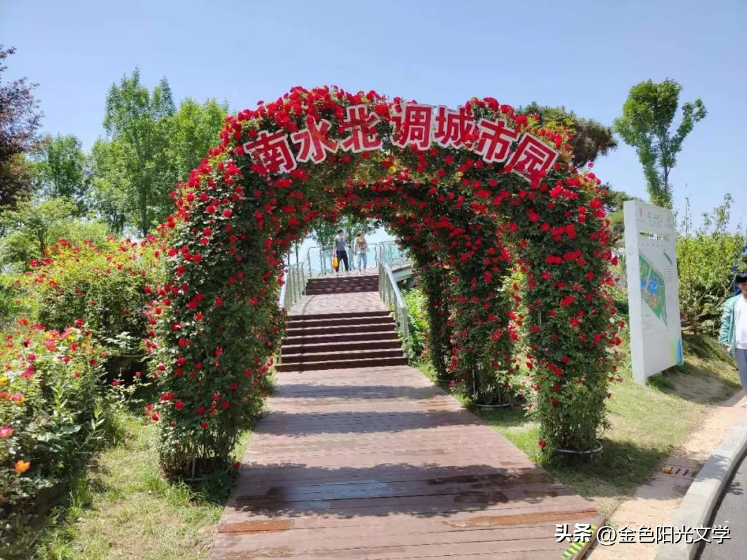 四年级写事优秀作文,四年级必背优秀作文