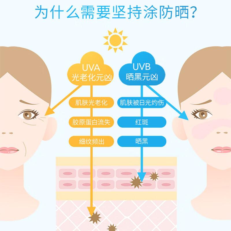 安热沙金灿倍护防晒乳新款什么味,安热沙金灿倍护防晒精华乳亲肤型