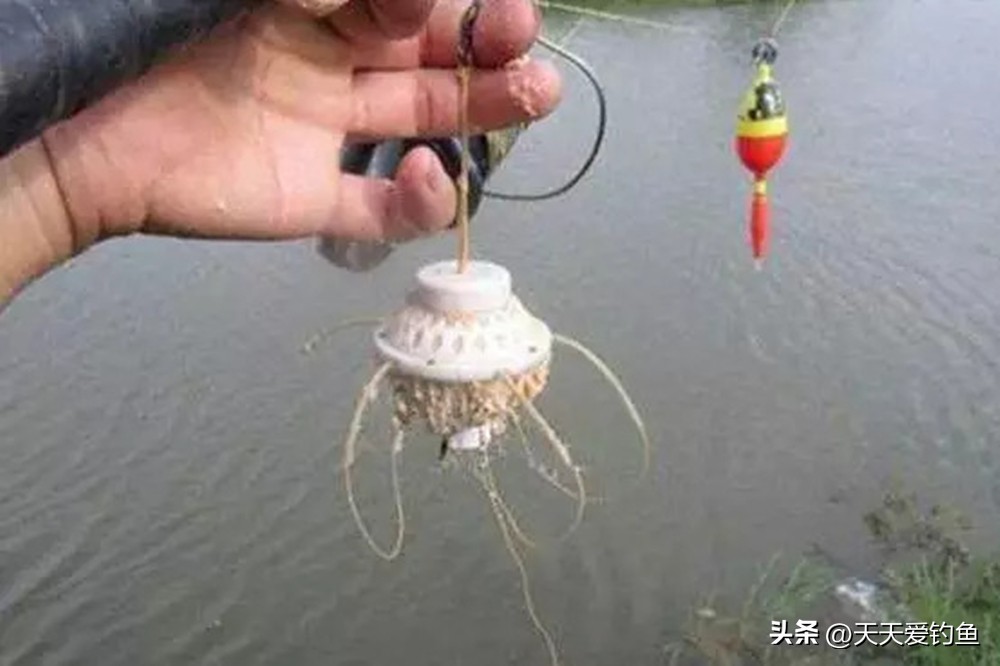 水库野钓鲢鳙小药,野钓鲢鳙小药