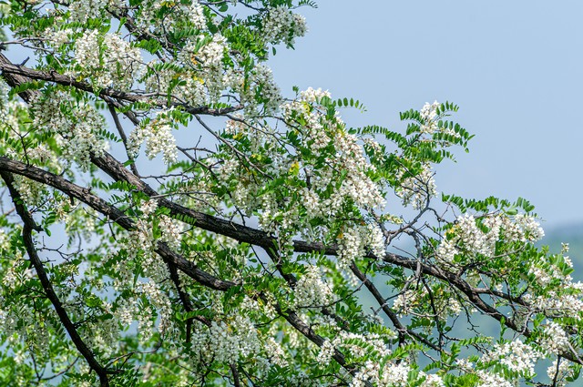 回忆相册里的人生感悟,生活图片感悟人生微信图文