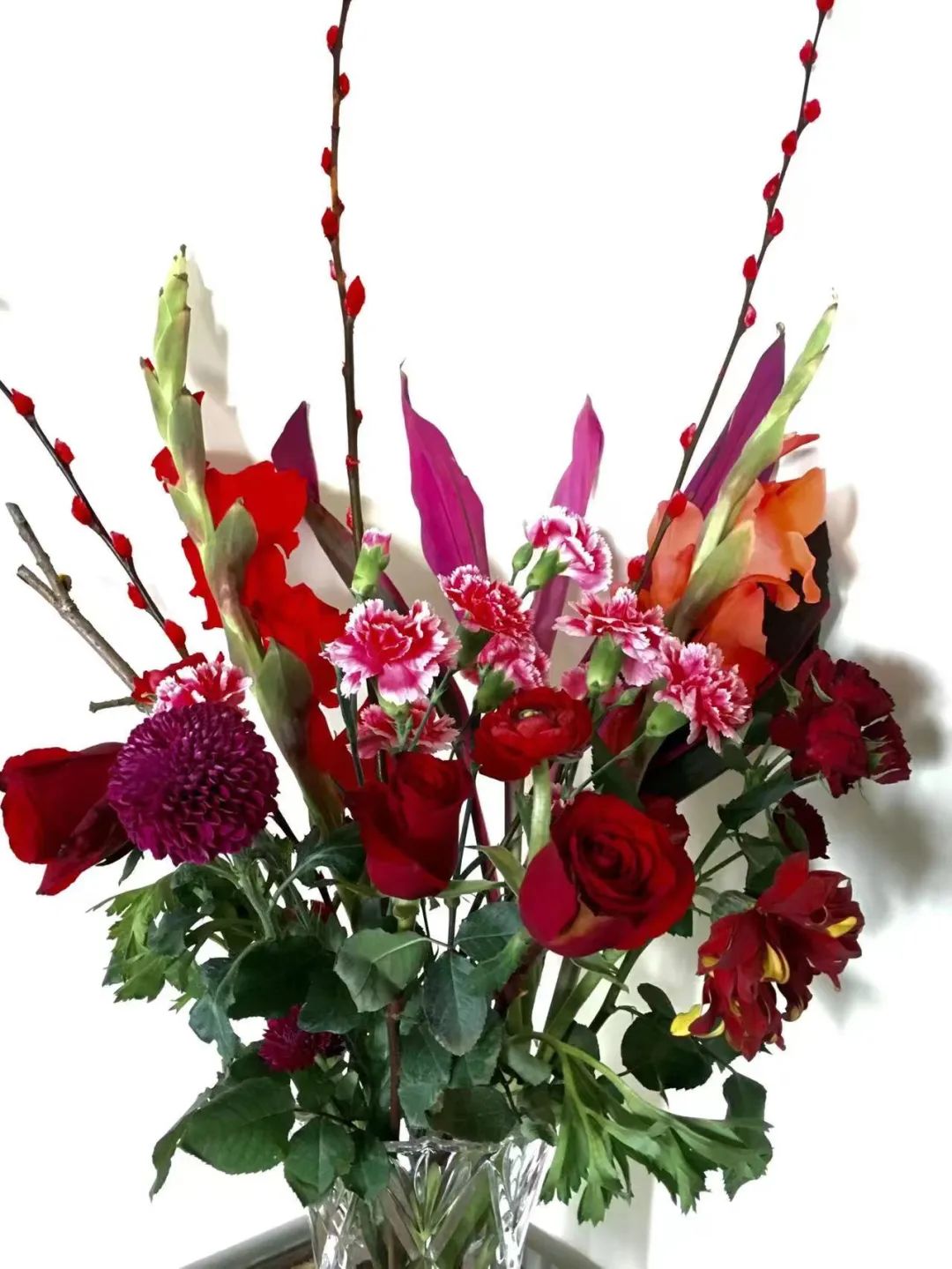 蝴蝶兰适合什么情况送,蝴蝶兰送礼一对还是一盆