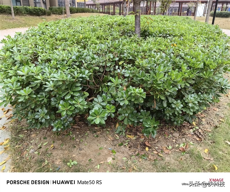 华为mate50最便宜价格,华为mate50e和mate50发布价格