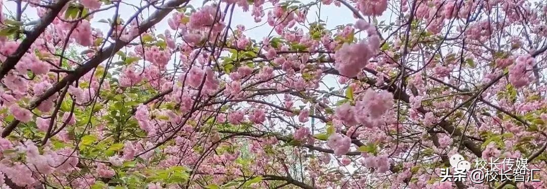 聚焦双减提质增效,双减形势下减负提质增效