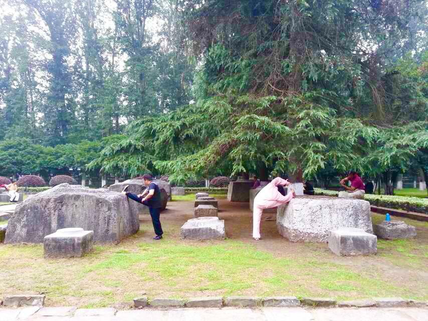 南京龙袍最值得玩的景点,南京秋天最值得去玩的免费景点