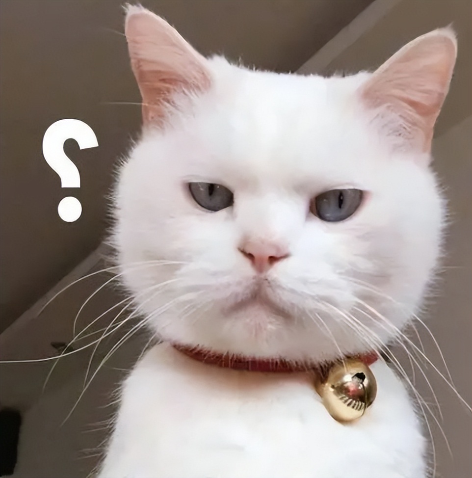 妇科检查可以去私立医院吗,女生检查妇科去哪种医院