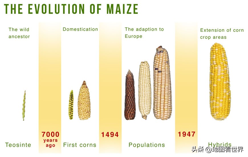 危地马拉真的是危险地区吗,危地马拉到底是什么国家