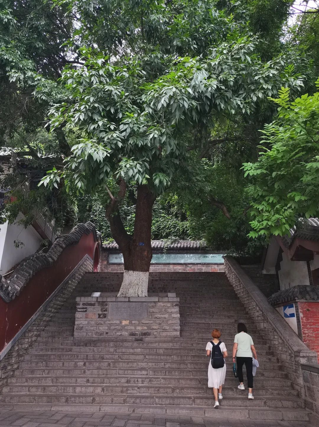 夜爬济南千佛山看日出,夜爬千佛山攻略