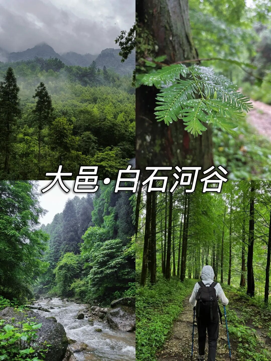 避暑旅游景点看山看水,清凉避暑好去处雪溪洞一日游