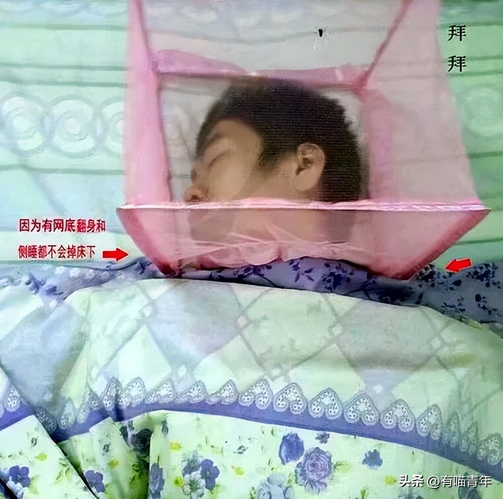 养猫不能放蟑螂药怎么办,养猫不能用的驱蚊方法