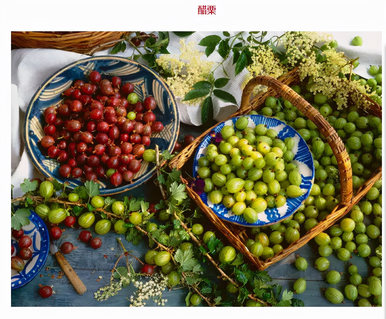 世界最好吃的水果十大排行,世界最营养又好吃的水果有哪些