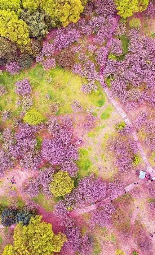 神农公园风景,神农公园的风景