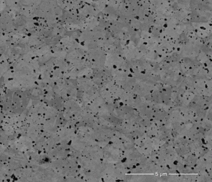电磁搅拌对Sr变质体育器材用铝基复合材料的影响